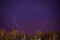 Starlight in winter night Royalty Free Stock Photo