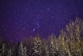 Starlight in winter night Royalty Free Stock Photo