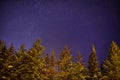 Starlight in winter night Royalty Free Stock Photo