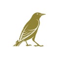 Starling bird design vector illustration, Creative Starling bird logo design concept template, symbols icons