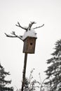 Starling-house At Winter