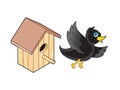 Starling and Nesting Box