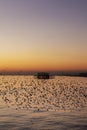 Starlings in Brighton at sun set Royalty Free Stock Photo