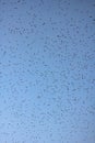 Starlings winter in Europe by many millions - birds ib sky