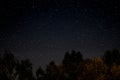 Starlit sky at night - trees and stars