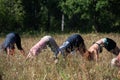 People doing Downward-Facing Dog yoga exercise on nature selective focus