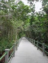 Starr Thomas Memorial Boardwalk at Bailey Homestead Preserve Royalty Free Stock Photo