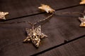 Starry Christmas lights on a gray wooden background