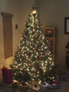 A Starry Christmas Tree on Christmas Eve Royalty Free Stock Photo