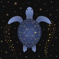 Starry magical turtle float among stars on a night sky. Cute cartoon tortoise swimming in a space ocean Royalty Free Stock Photo