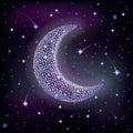 Starry moon in night sky, vector