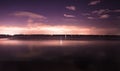 Starry moonlight over florida lake