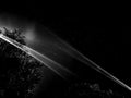 Starry night with light rays monocrome