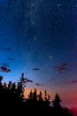 Starry night with Milky Way and Perseid meteor and Andromeda in the sky above the forest trees