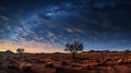 Starry Night Over the Desert