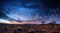 Starry Night Over the Desert