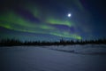 Starry Night with Purple and Green Bands of Northern Lights Aurora Royalty Free Stock Photo