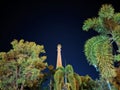 Starry night sky above a coastal lighthouse and palms Royalty Free Stock Photo