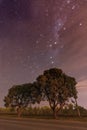 Starry night sky astrophotography with trees under the stars