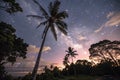 Starry night sky with coconut palm tree Royalty Free Stock Photo