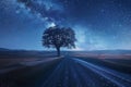 Starry night sky illuminates solitary tree by deserted road Royalty Free Stock Photo