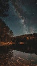 Starry night sky reflection in a forest lake Royalty Free Stock Photo