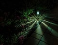 Flower garden at night. A flowerbed illuminated by a small solar lamp. Royalty Free Stock Photo