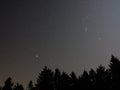 Starry sky above fir forest night scene motion blur