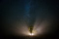 Starry sky and magical tree lit by torch