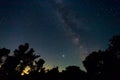 Starry sky with milky way above a forest silhouette Royalty Free Stock Photo