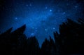 Starry sky in the night forest