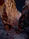 Starry Sky over Cottonwood Canyon Narrows Royalty Free Stock Photo