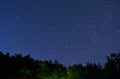 Starry sky over the wood