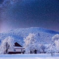 Starry sky and a tree in frost at the beautiful house in the woods in midwinter. Royalty Free Stock Photo