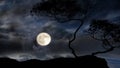 Starry sky trees silhouette on front night moon dramatic blue nebula panorama nature weather forecast