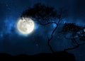 Starry sky trees silhouette on front night moon dramatic blue nebula panorama nature weather forecast