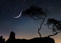 Starry sky trees silhouette on front night moon dramatic blue nebula panorama nature weather forecast