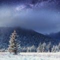 Starry sky in winter snowy night. Carpathians, Ukraine, Europe Royalty Free Stock Photo