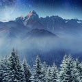 Starry sky in winter snowy night. Carpathians, Ukraine, Europe Royalty Free Stock Photo