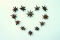 The stars of anise for Valentine`s Day.