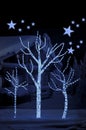 Stars on background of defocused blue lights and tree Royalty Free Stock Photo