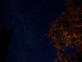 Stars in Dark Night Sky Landscape Autumn Background Milky Way in Forest Backdrop Royalty Free Stock Photo