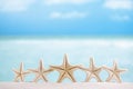 5 stars fish, white starfish with ocean, boat, white sand beach, sky and seascape Royalty Free Stock Photo