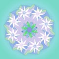 STARS MANDALA. PLAIN AQUAMARINE BACKGROUND. CENTRAL LINEAR DESIGN IN WHITE, PURPLE AND GREEN