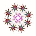 STARS MANDALA. VINTAGE STYLE. PLAIN WHITE BACKGROUND . CENTRAL LINEAR DESIGN IN PURPLE, VIOLET, GREEN, YELLOW AND WHITE