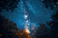 Stars night in the dark forest , nature