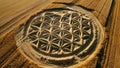 Crop Circles With Geometric, Circles, Spirals or Sacred Geometry Design Royalty Free Stock Photo
