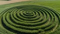 Crop Circles With Geometric, Circles, Spirals or Sacred Geometry Design Royalty Free Stock Photo