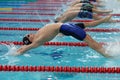 Start of backstroke swimming during Salnikov Cup Royalty Free Stock Photo