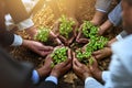 Start at the bottom and watch your business grow. a diverse group of businesspeople holding plants growing out of soil. Royalty Free Stock Photo